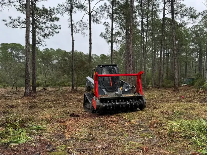 Red forestry mulcher clearing brush in a pine forest