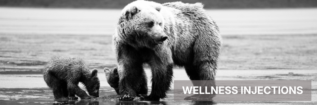 Two polar bears walking on a snowy landscape, with “WELLNESS INJECTIONS” text at right