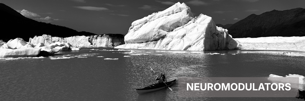 Black-and-white scene of an iceberg floating on calm water with a small boat in the foreground and mountains behind.