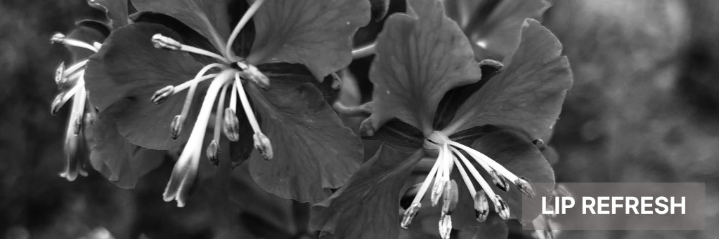 Black-and-white close-up of hibiscus flowers with the text “LIP REFRESH” in the corner