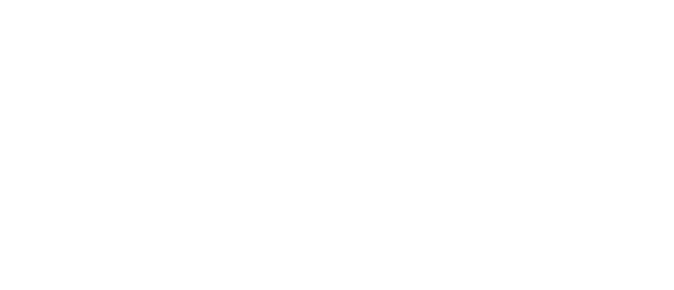 Niche Regenerative Wellness