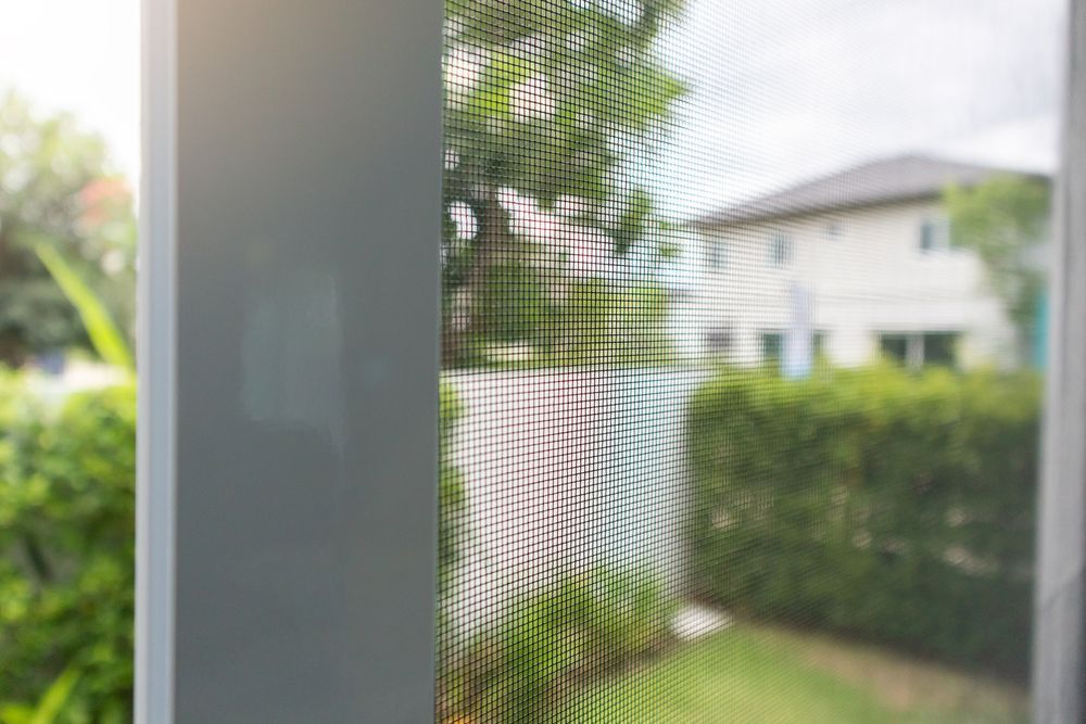 View Through a Window Screen of A Green Backyard and A White House Beyond Hedges — Fineworx Joinery in Nambucca Heads, NSW