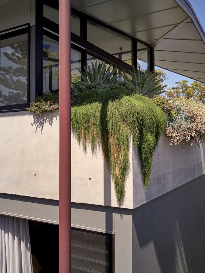 Modern Building Corner with Hanging Green Plants and A Red Support Post — Fineworx Joinery in Warnervale, NSW