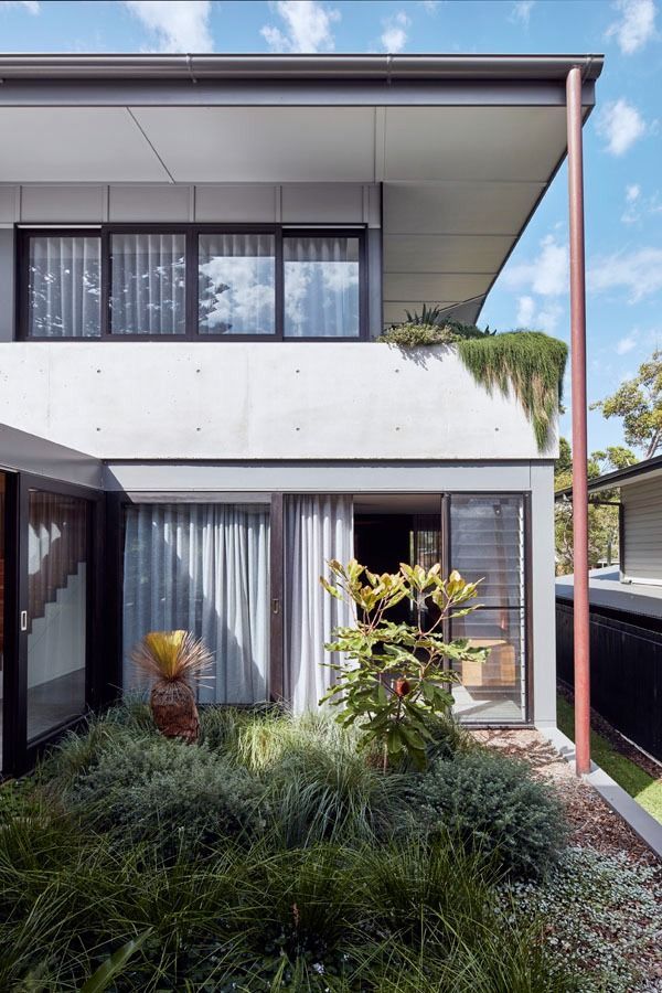 Modern Two Story House Exterior with Large Windows and Front Garden Plants — Fineworx Joinery in Warnervale, NSW