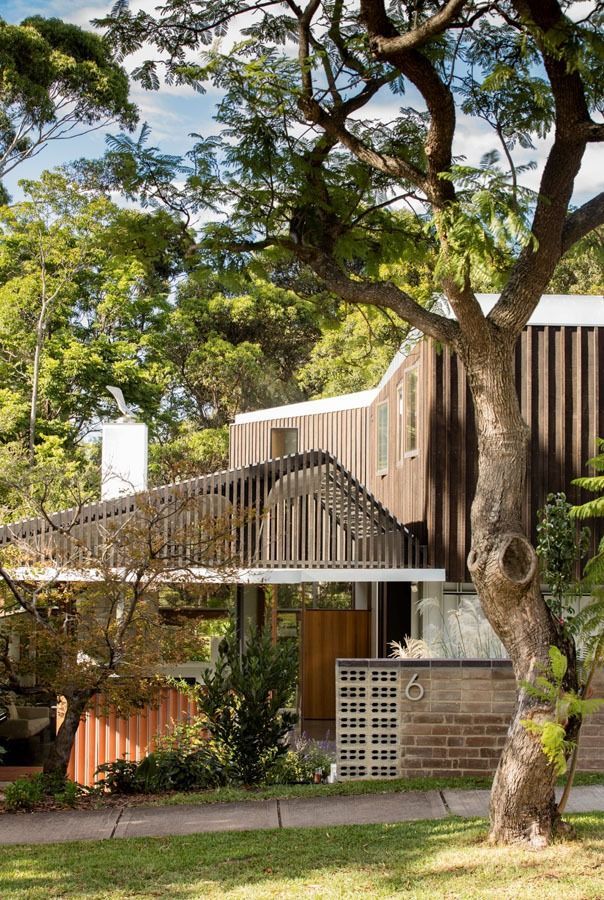 Modern House with White Balcony and Large Tree in Front — Fineworx Joinery in Warnervale, NSW