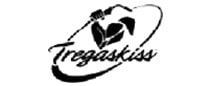 Tregaskiss — Pittsburgh, PA — Jackson Welding Supply Co