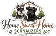 Schnauzer Breeding in Laurel, MS | Home Sweet Home Schnauzers