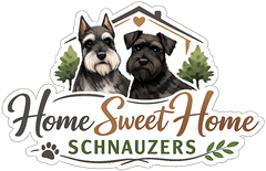 Schnauzer Breeding in Laurel, MS | Home Sweet Home Schnauzers