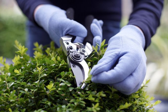 giardinaggio ed accessori