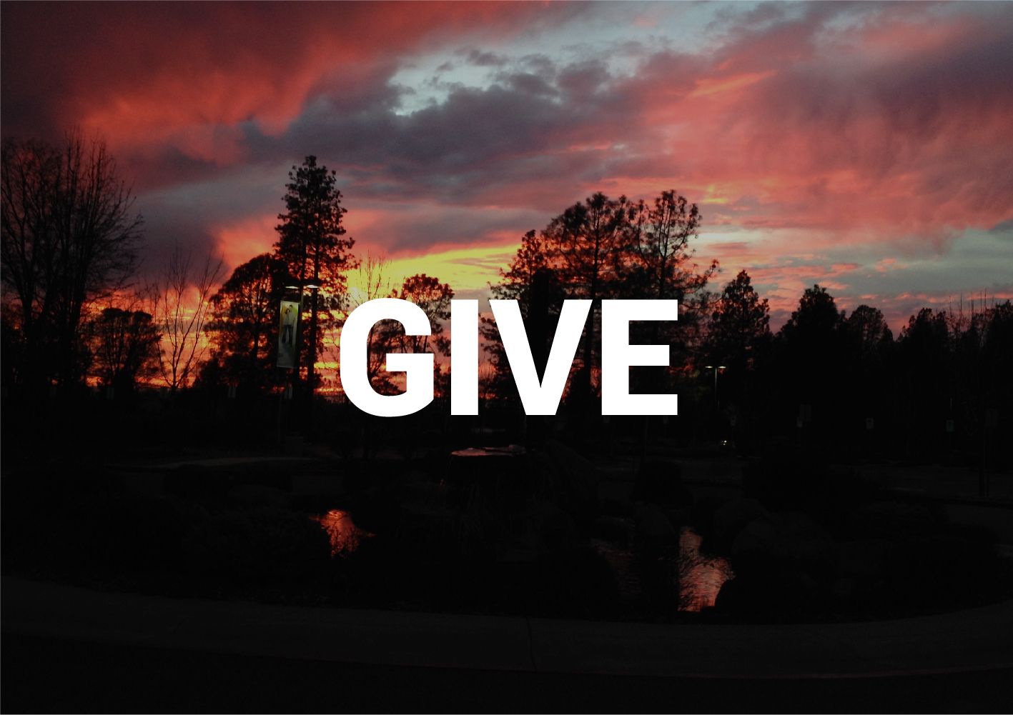 Give