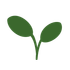 Two green leaves growing from a dark green stem.