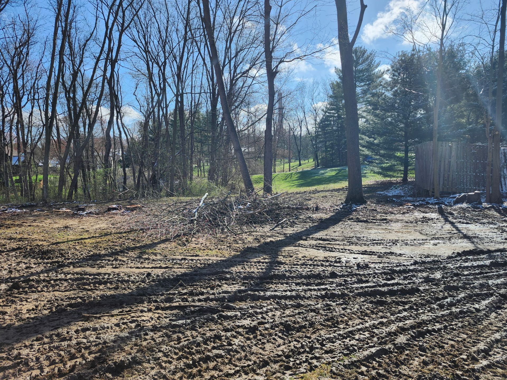 A dirt field with trees in the background on a sunny day