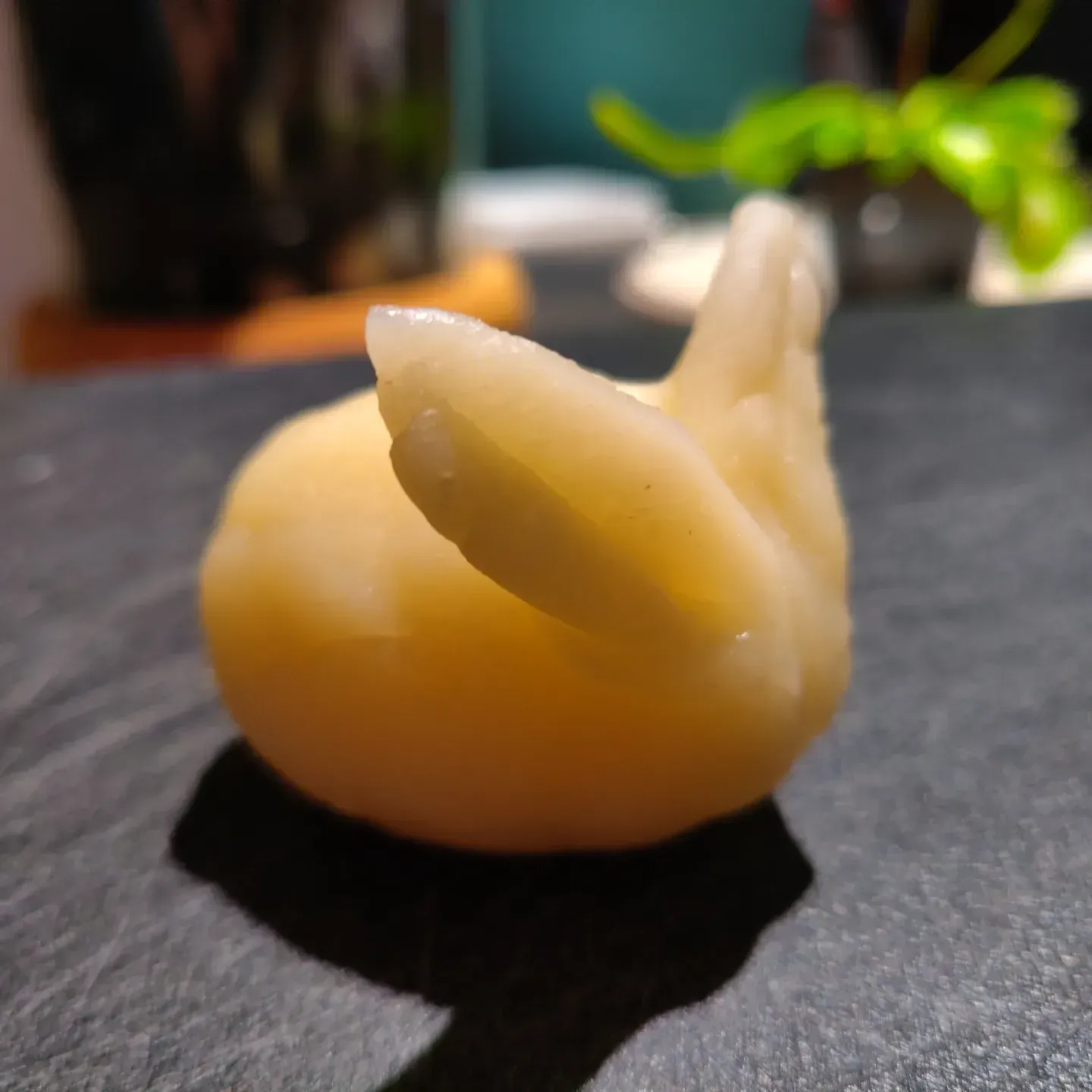 Close-up of a small yellow snail-shaped object on a dark surface with a blurred plant in the background