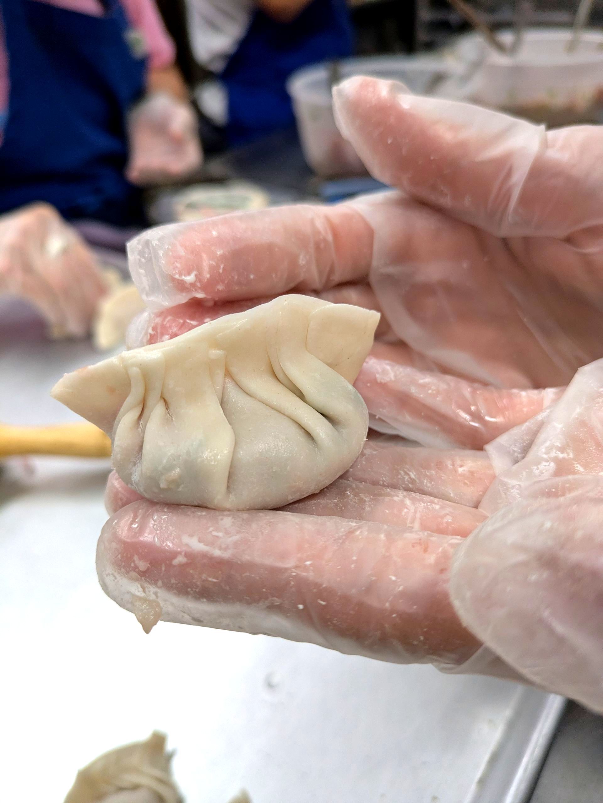 Hand holding a freshly folded dumpling with white, folded dough, ready for cooking.