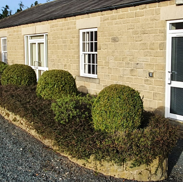 Working in the countryside or rural office settings, such as those offered at Oakwood Park Business
