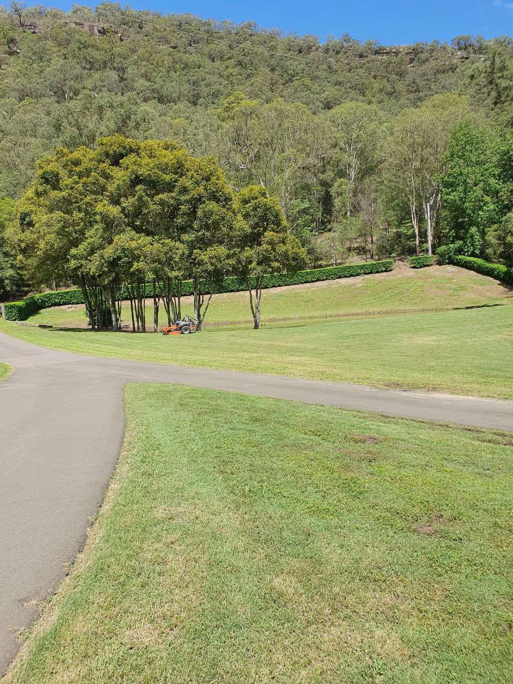 Landscaped Parks — Landscaping inspiration in Matcham, Central Coast