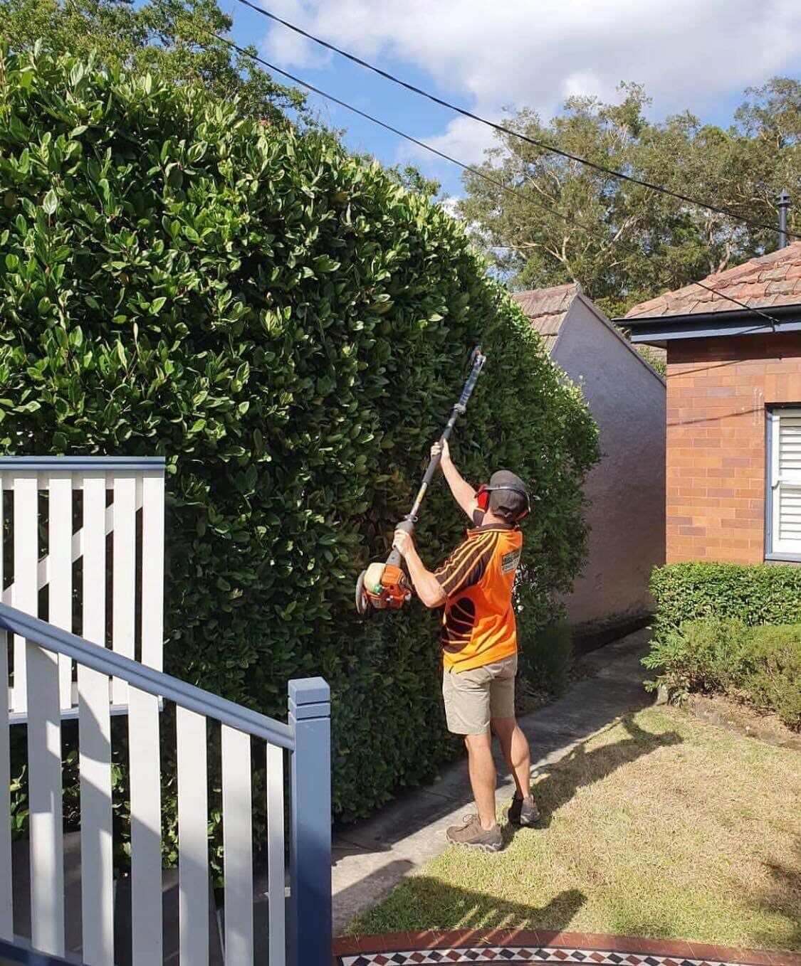 Bushes Getting Trimmed — Landscaping inspiration in Matcham, Central Coast
