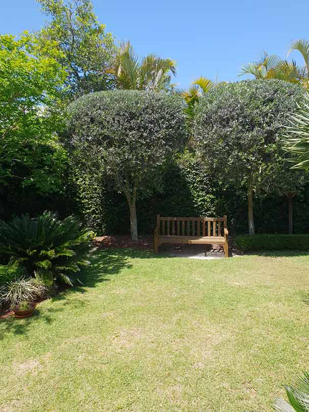 Gardens and Bench — Landscaping inspiration in Matcham, Central Coast