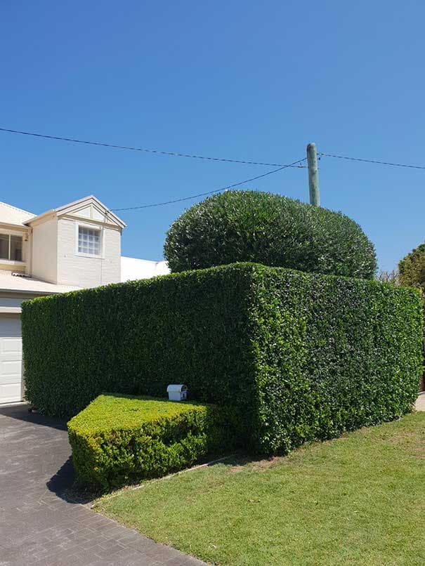 Manicured Gardens and Hedges — Landscaping inspiration in Matcham, Central Coast