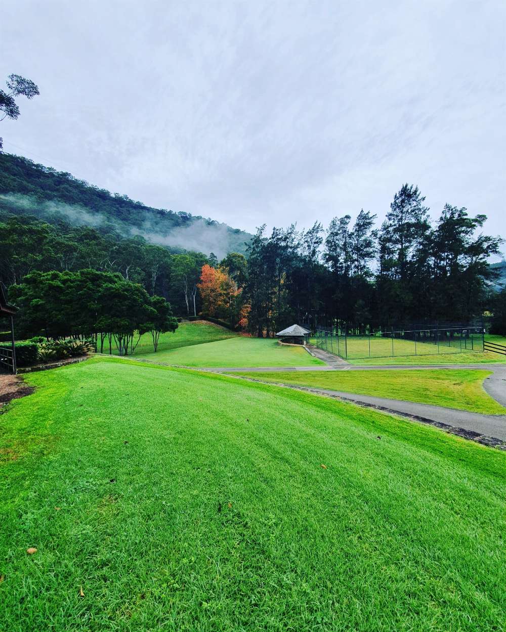 Freshly Mowed Lawn  — Landscaping inspiration in Matcham, Central Coast