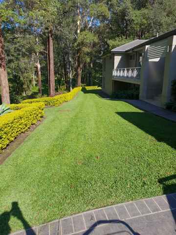 Freshly Cut Lawn in the Backyard — Landscaping inspiration in Matcham, Central Coast