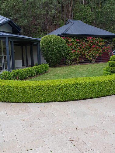 Beautifully Manicured Gardens — Landscaping inspiration in Matcham, Central Coast