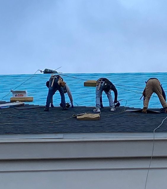 Roofers on a dark shingled roof, working under a blue sky. They wear safety harnesses.
