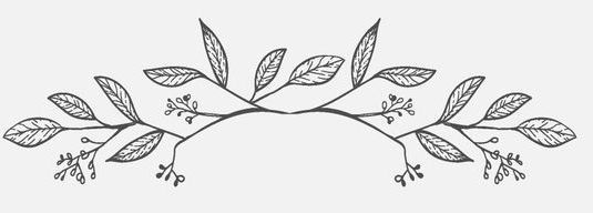Dekorationslinie floral