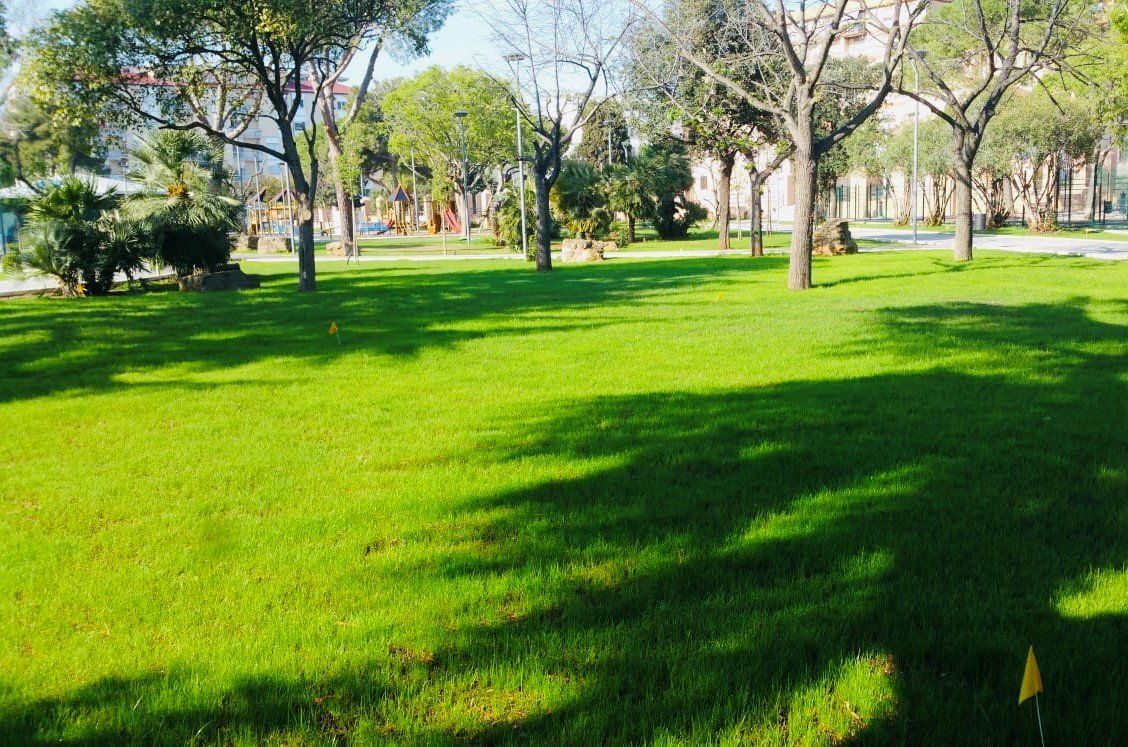 giardino con erba appena rasata