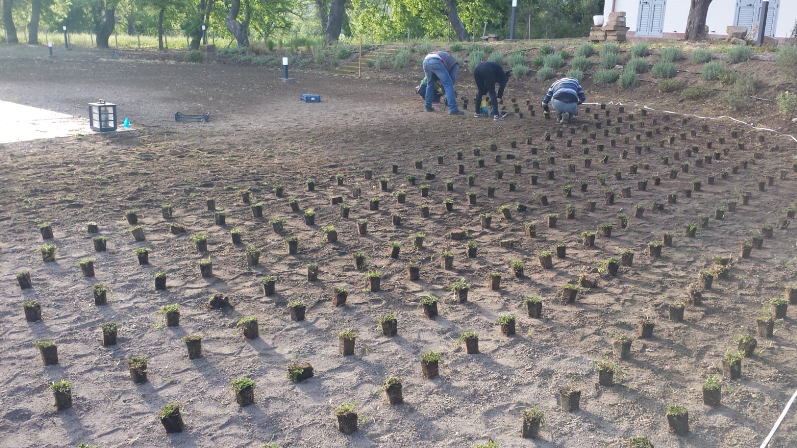 realizzazione di uno spazio verde