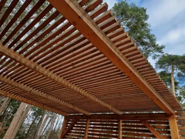 Wooden pergola with slatted roof in a pine forest, viewed from below