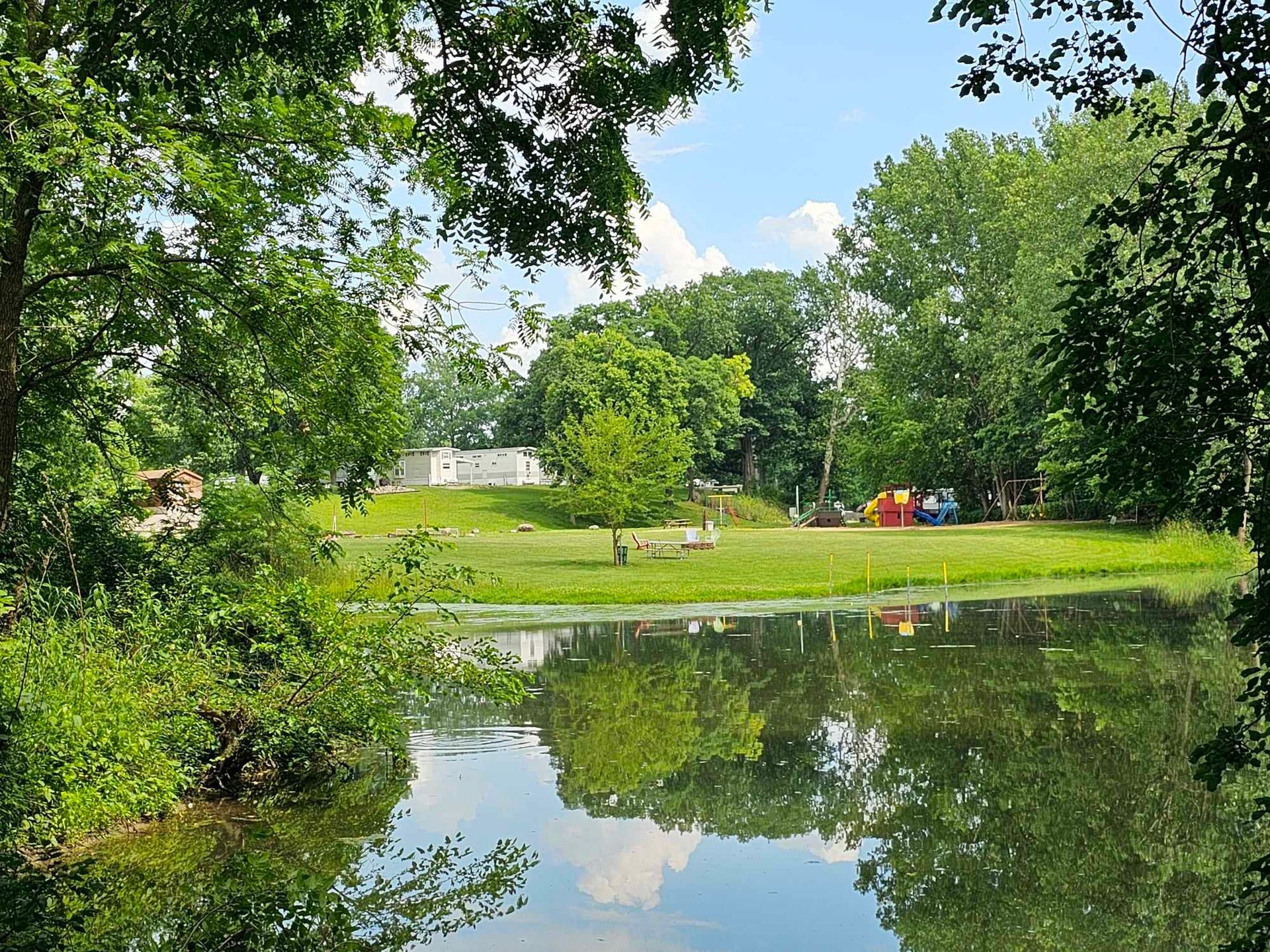 a pond surrounded by trees and grass