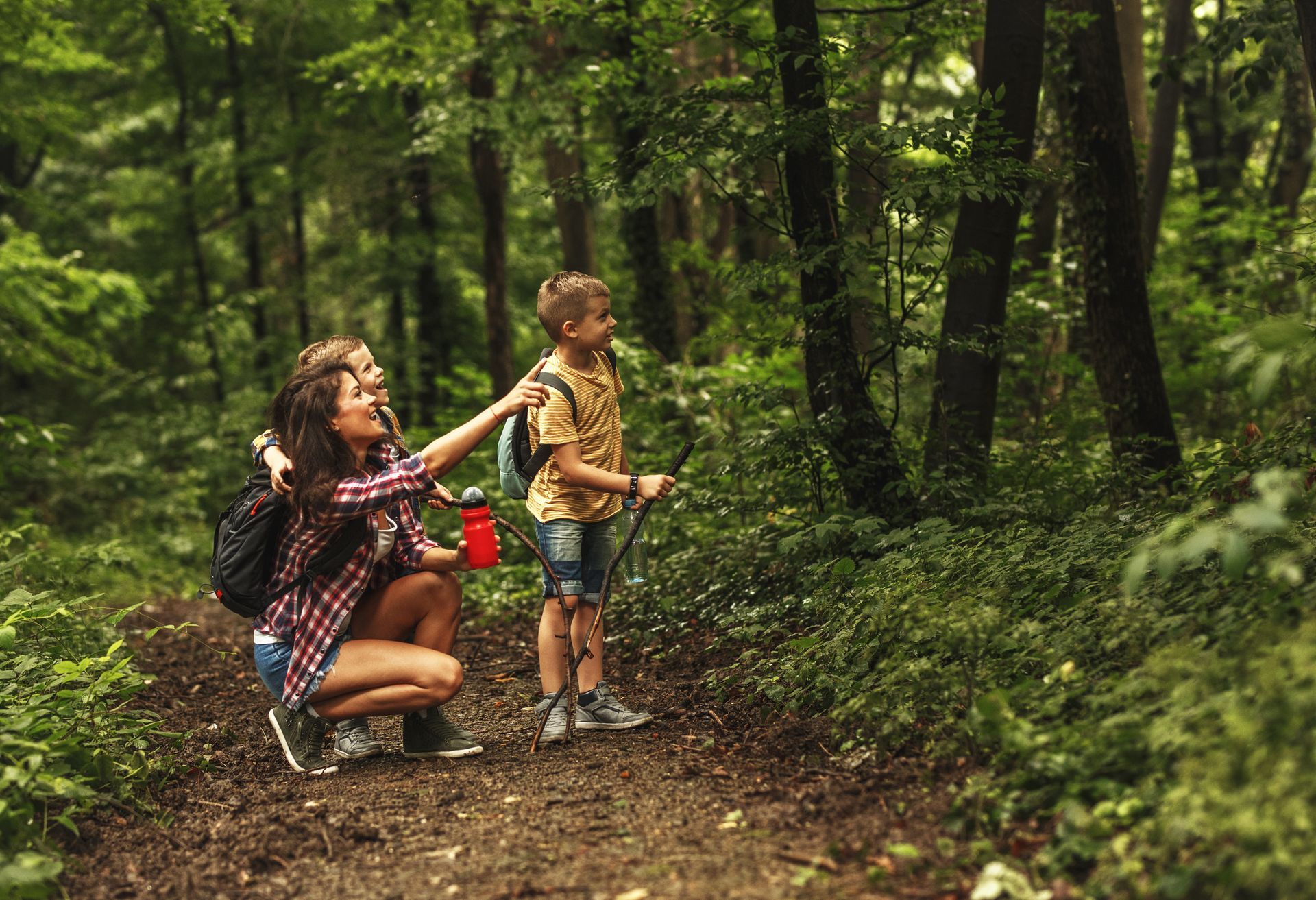 a woman and two children are hiking in the woods