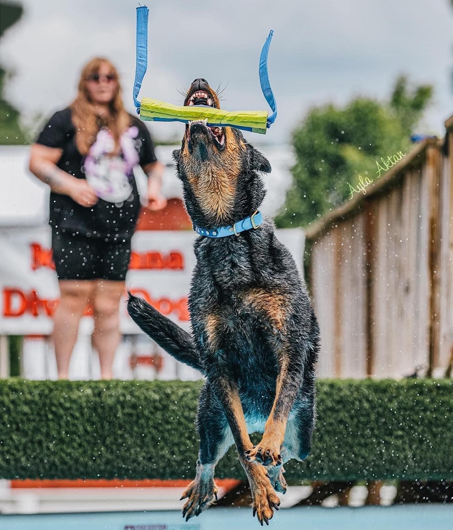 Air Retrieve — Niles, MI — Bunk & Biscuit Air Retrieve — Niles, MI — Bunk & Biscuit