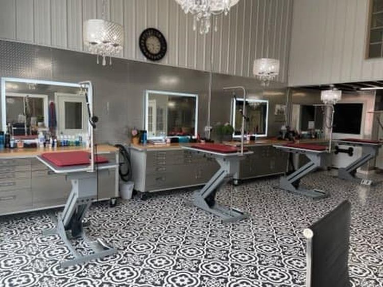 A dog grooming salon with three grooming stations, stainless steel counters, and patterned tile flooring.