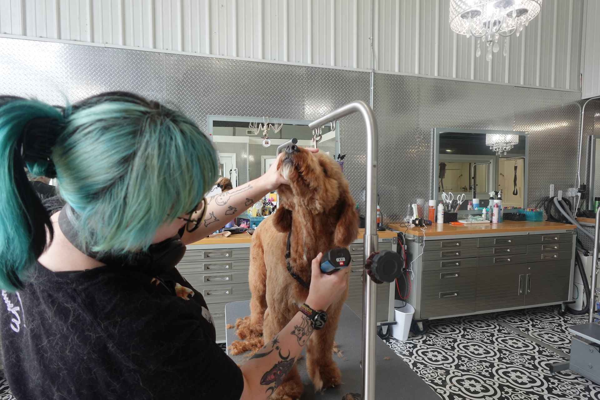 Groomer trimming a brown dog on a grooming table in a salon with mirrors and shiny cabinets