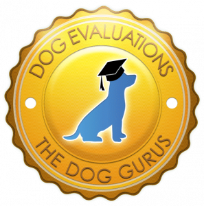 Dog Evaluations