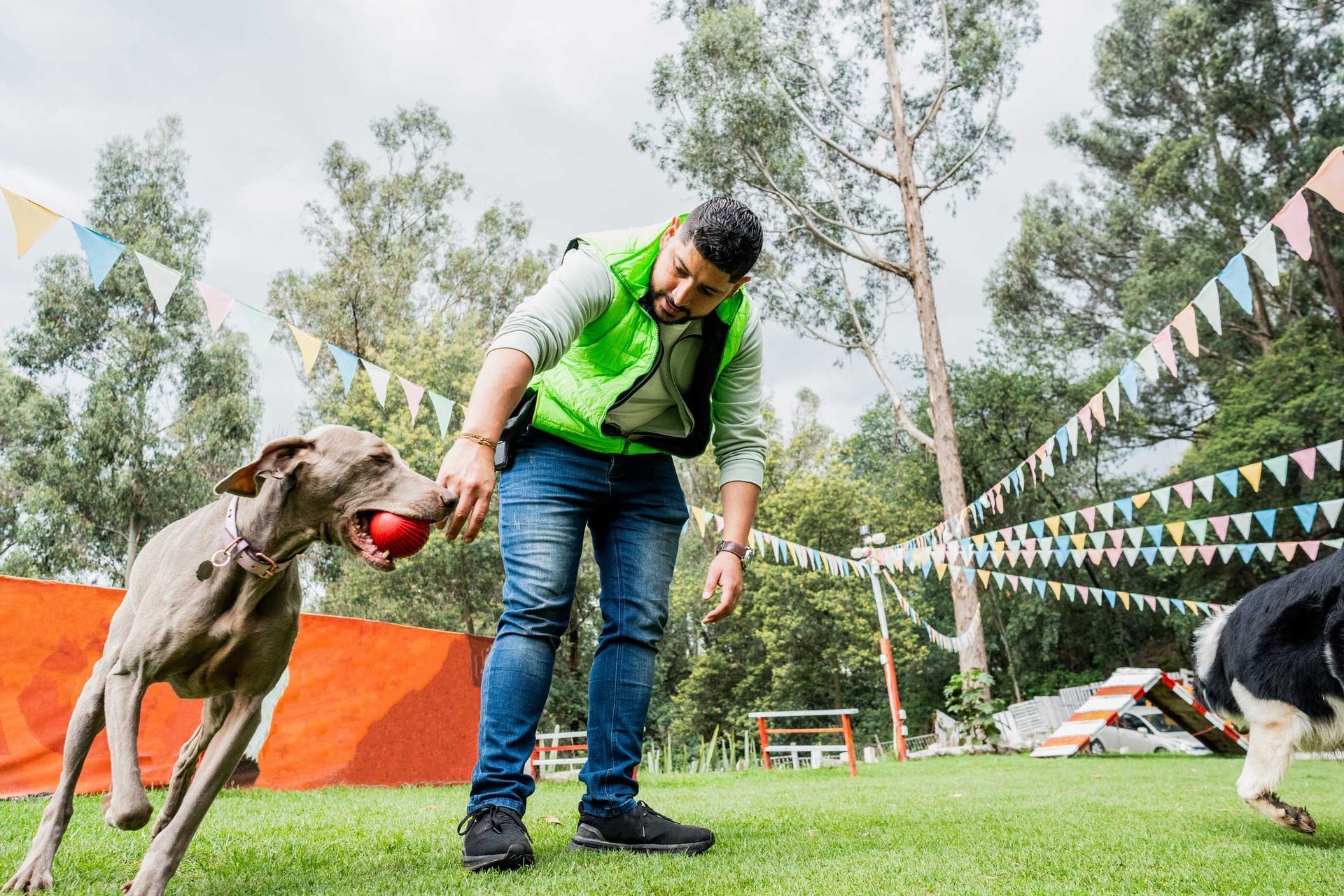 A dog trainer is teaching a dog how to play with a ball. A dog trainer is teaching a dog how to play with a ball.