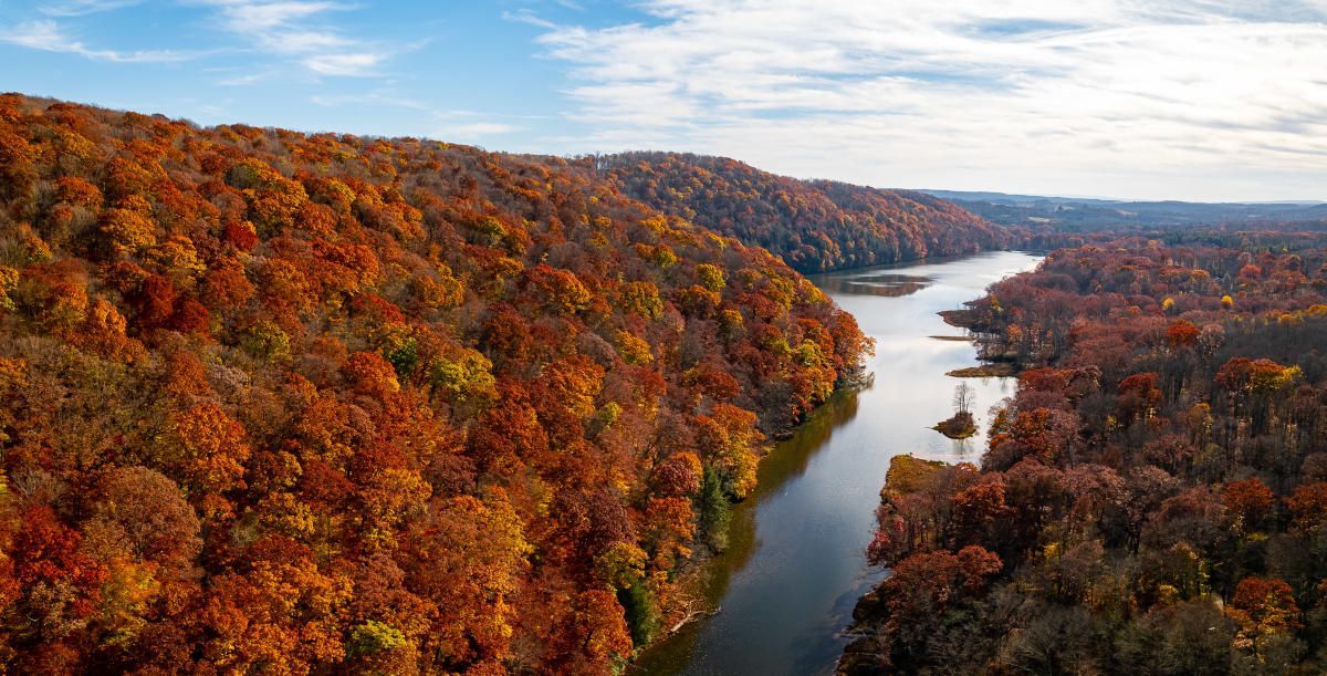 River winds through colorful autumn forest.