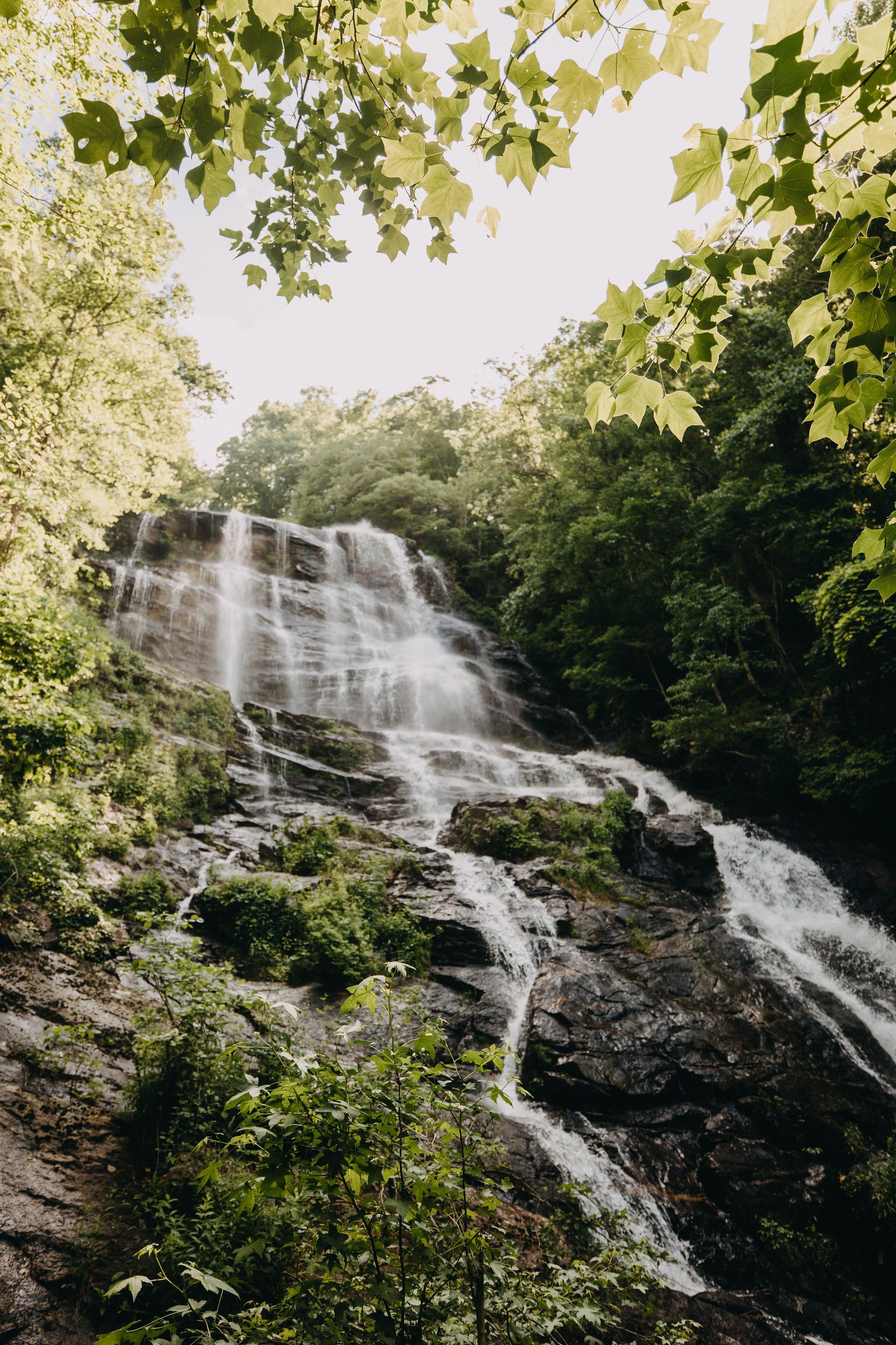 Waterfall cascading down a rocky cliff, surrounded by lush green trees.