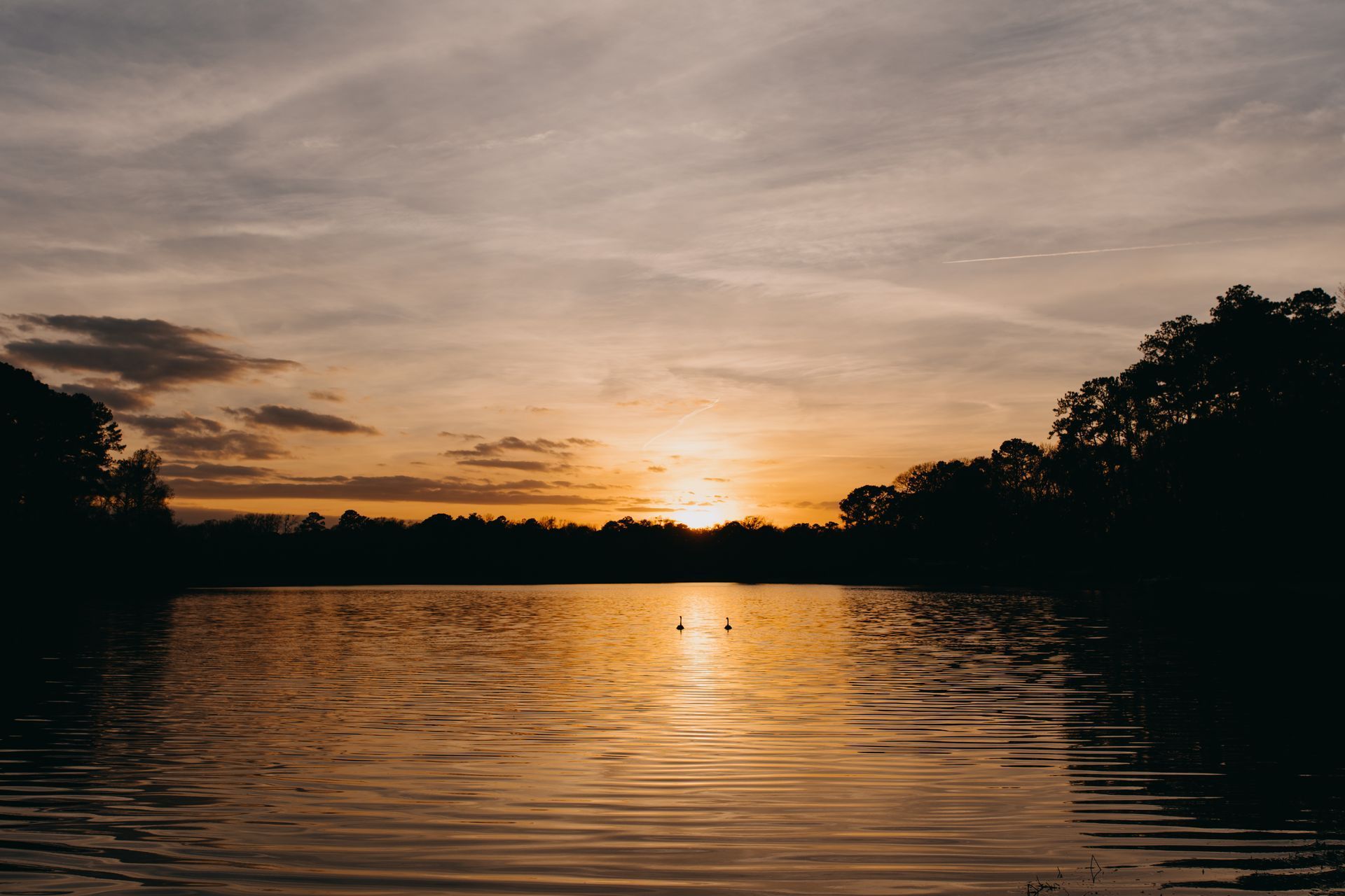 Sunset over a lake; orange sky reflecting on water, silhouetted trees.