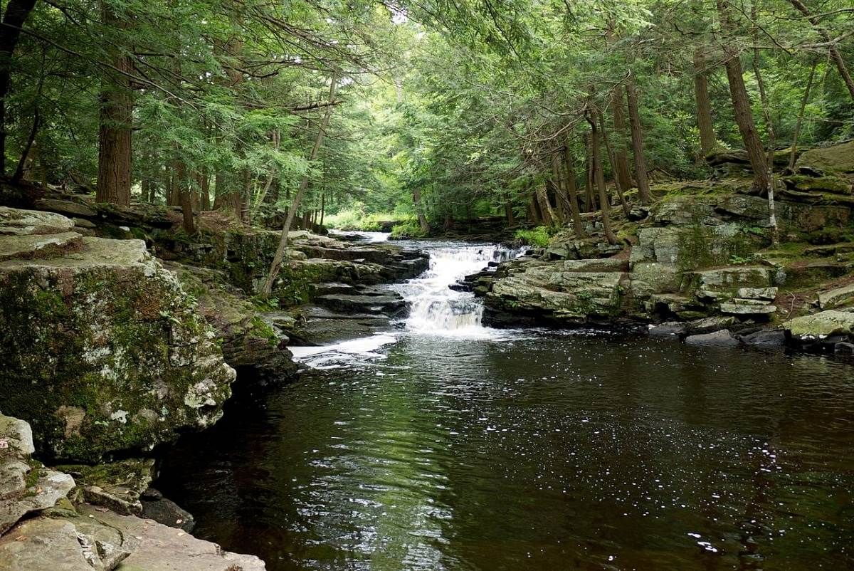A stream flows through a forest, over rocks. Dark water, green trees, overcast light.