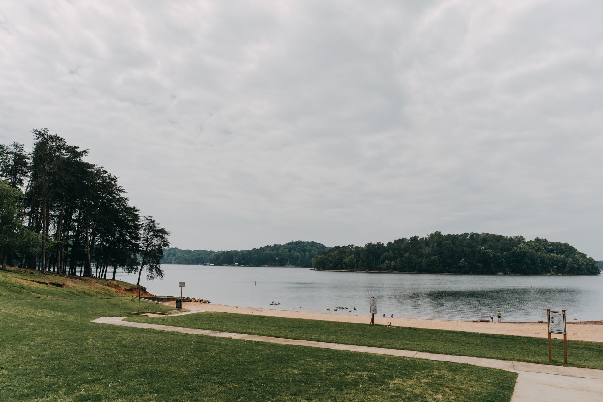 Beach landscape with a lake, cloudy sky, green grass, and trees.