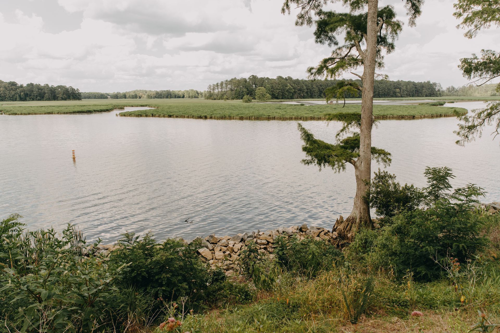 Wide view of a calm lake surrounded by marshy reeds and green vegetation under an overcast sky.