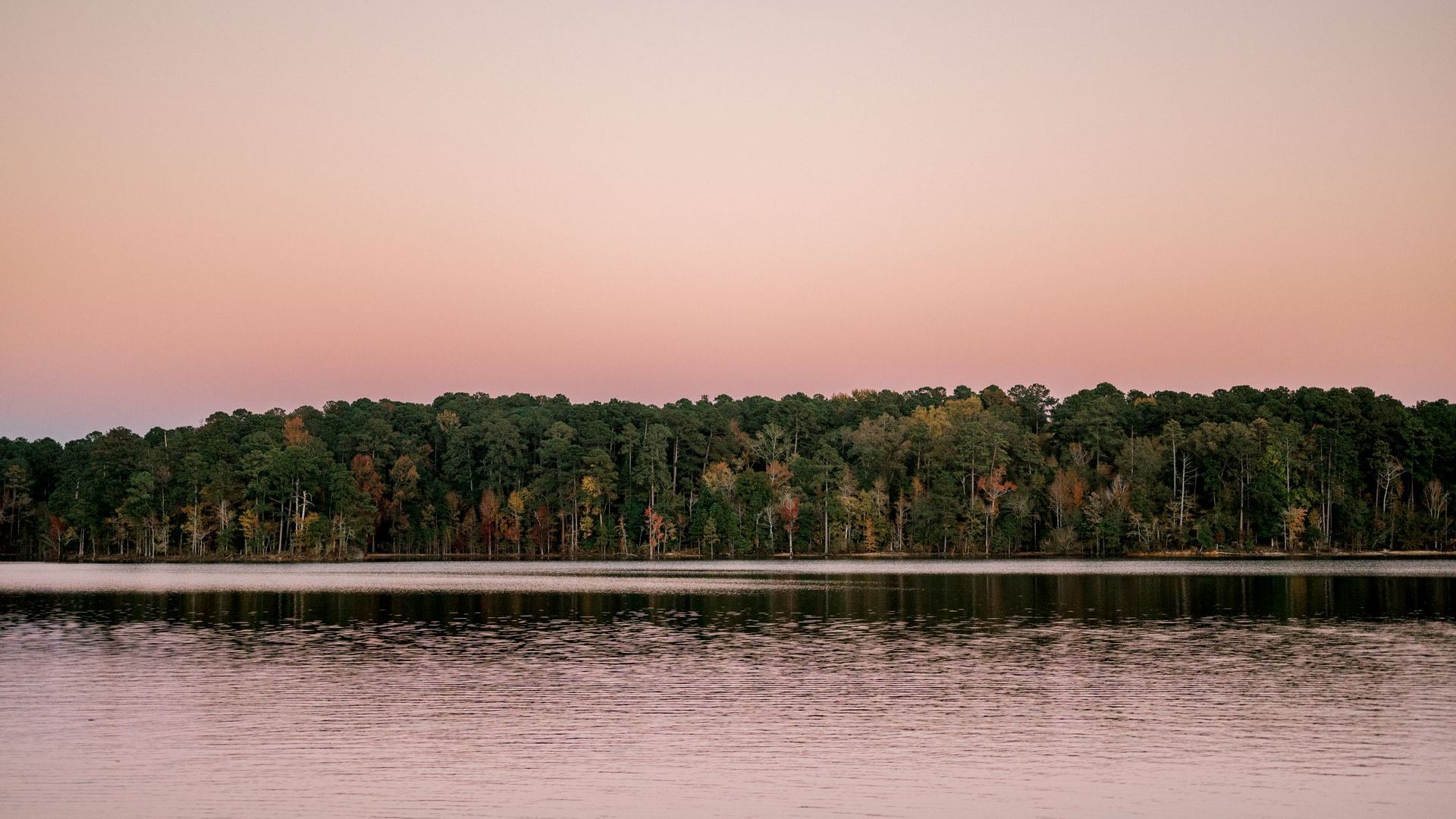 Lakeside forest at dusk. Trees line the water, reflecting the pink and orange sky.