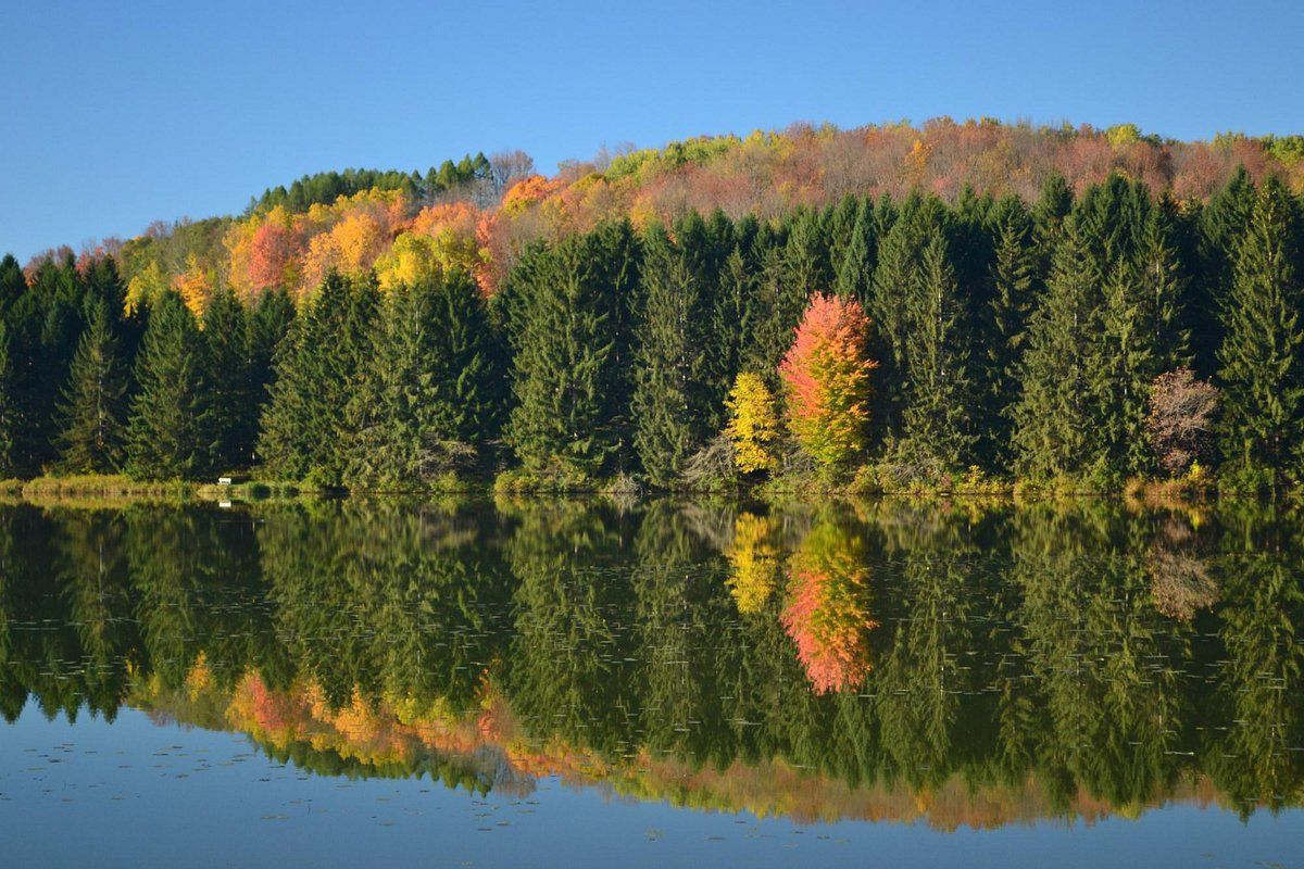 Autumn trees reflected in calm water. Vivid red, yellow, and green foliage against a clear blue sky.