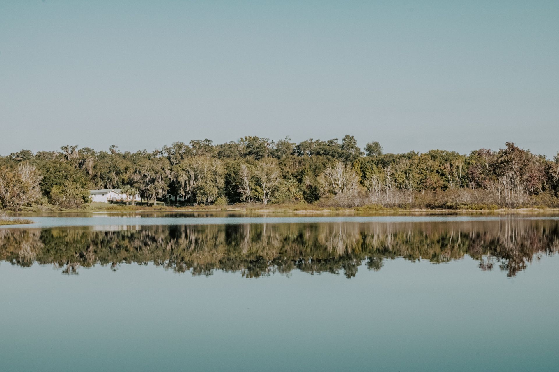 Large lake surrounded by trees