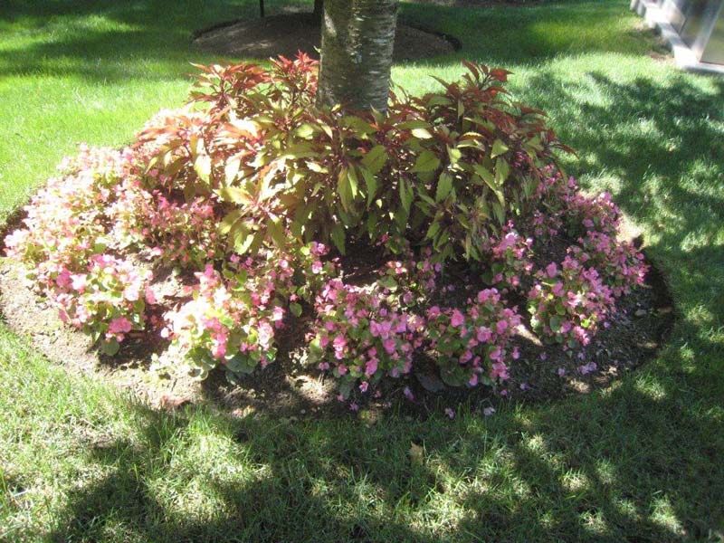 Landscaping Gallery Congers, NY FERGUSON Landscape & Construction, Ltd.