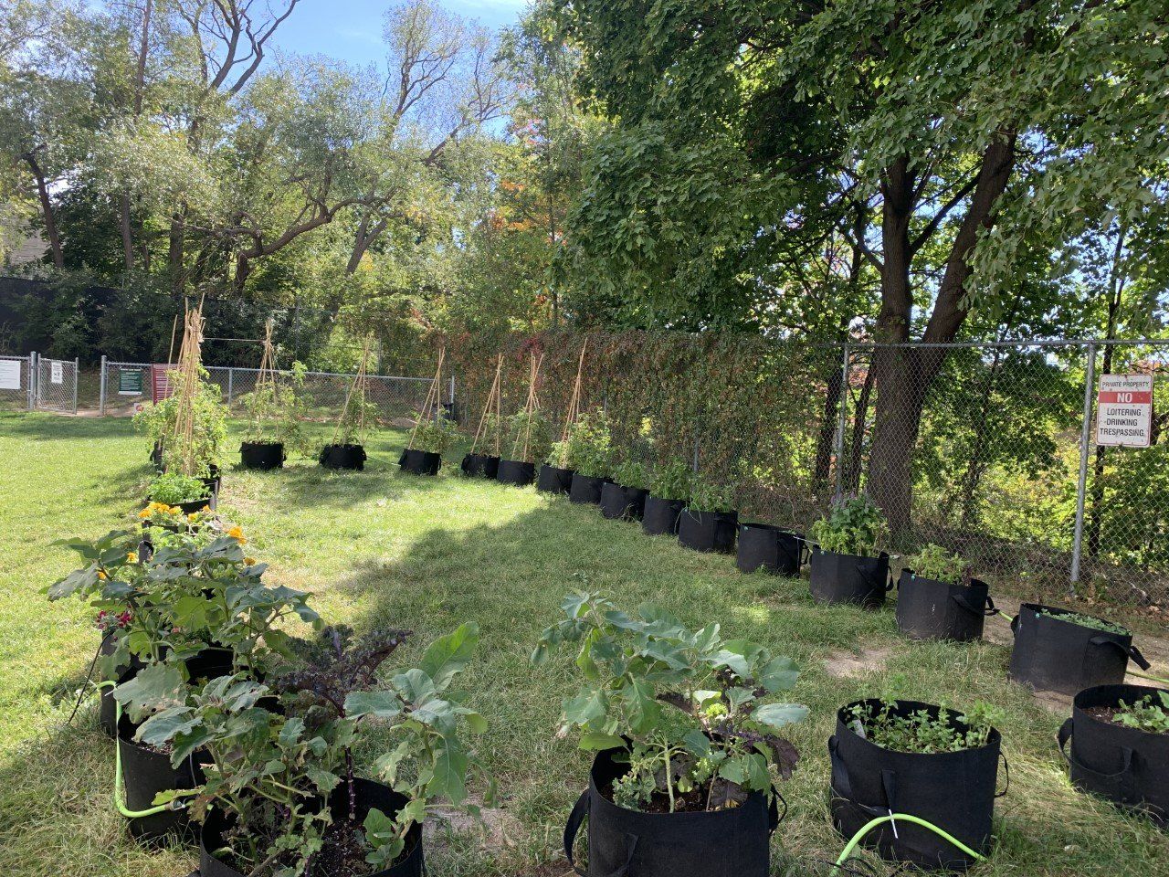 Weston Village Apartments for Rent