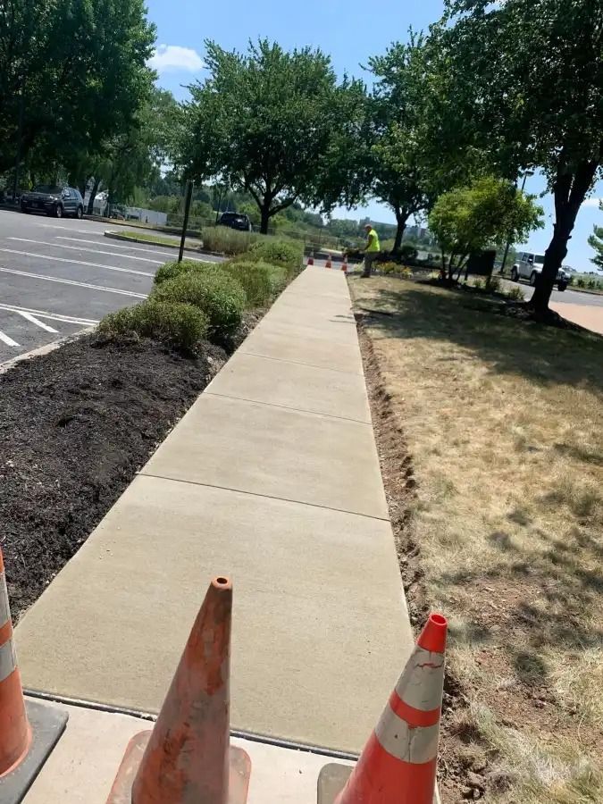 Sidewalk beside a parking lot, with orange traffic cones and trees lining the path.